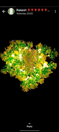 Multibrand  Diwali Decorative Light  - Bright Sun, Free Size, 0.15