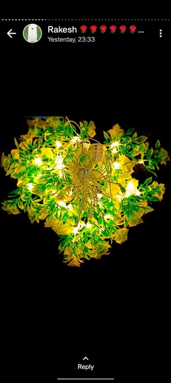 Multibrand  Diwali Decorative Light  - Bright Sun, Free Size, 0.15