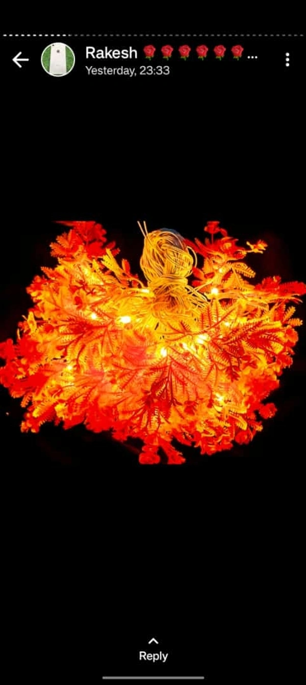 Multibrand  Diwali Decorative Light  - Bright Sun, Free Size, 0.15
