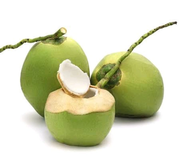 पानी नारियल 