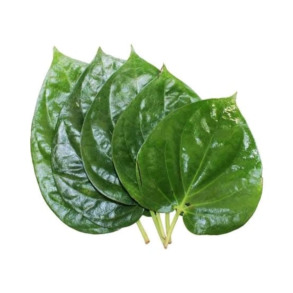 पान पत्ता  - 10pc