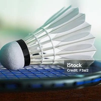 Badminton Shuttlecocks 1 Piece - White
