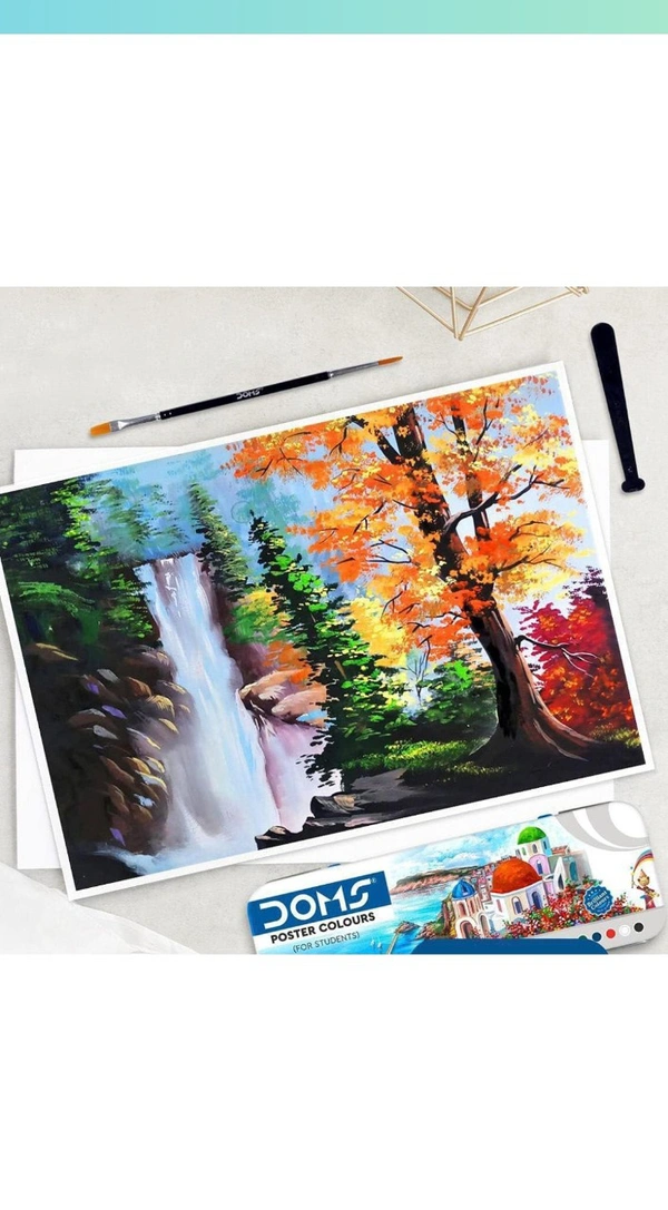 Doms 12 Shades Poster Colour 