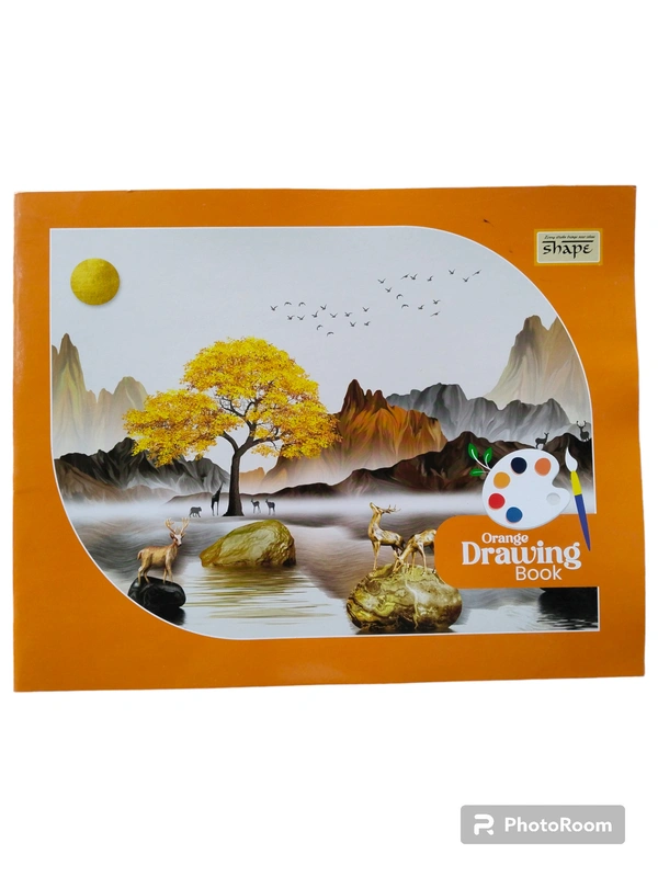 Shape SHAPE Drawing Book 27.5*34.7 Cm - 56