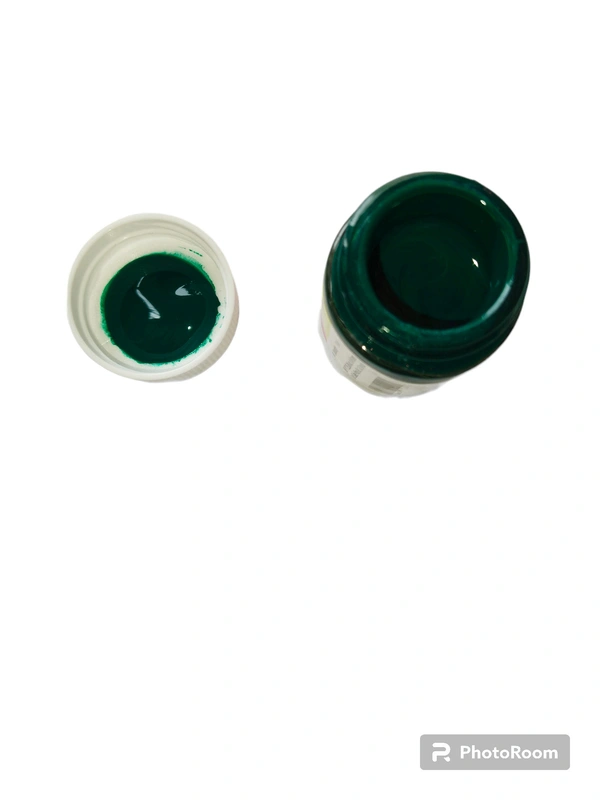 Pidilite Fevicryl Acrylic Colours  - dark green