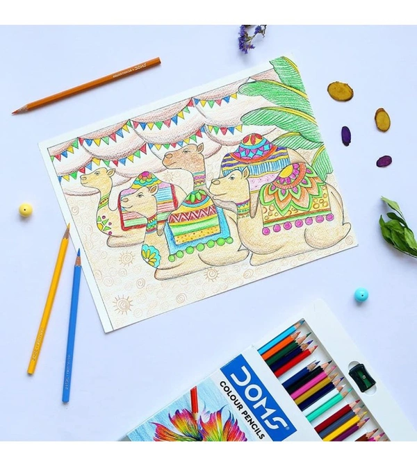 Doms  DOMS 24 Shades Color Pencils|Hexagonal Shaped Body For Comfortable Grip|Bright&Playful Colors|Free Sharpner With Each Pack|Non-Toxic&Safe For Childrens|Pack Of 1|Multicolor