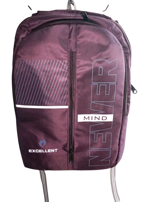 Excellent Premium School Bag For Girls / Boys And All Purpose 
