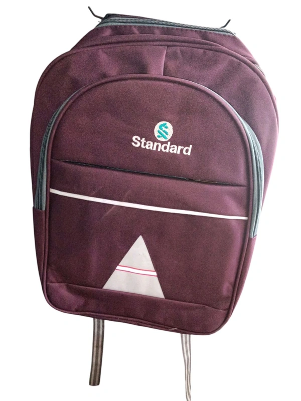 Standard Premium School Bag For Girls / Boys And All Purpose 