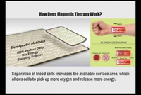 Bio Magnetic Matress (3*6) Feet  - Wisteria, 3*6