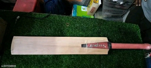 Catalog Name:*Elite Cricket Bats*Material: Popular WillowSize: 6Age Group: 15+ YearsNet Quantity (N): 1Dispatch: 1 Day*Proof of Safe Delivery! Click to know on Safety Standards of Delivery Partners- https://ltl.sh/y_nZrAV3