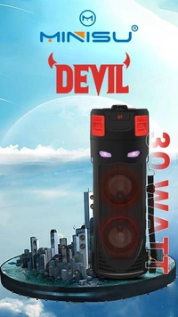 Double Woofer 30W Multi-Media Bluetooth Party Speaker with Wired Mic for Karaoke, RGB Lights, USB, SD Card and FM Radio - BT 251