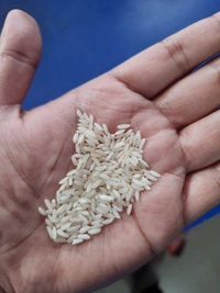 Namste India Steam Kolam Rice  - 1000gm