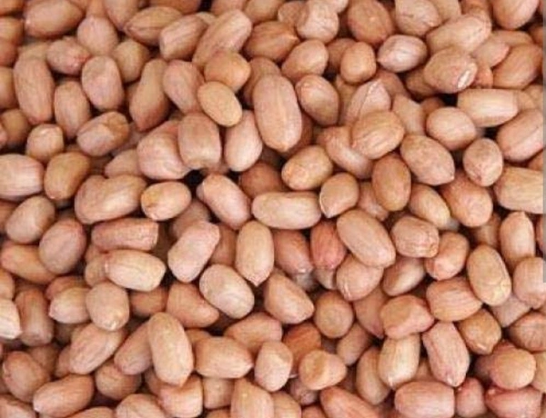 Peanuts / Kaccha Sindana - 250gm
