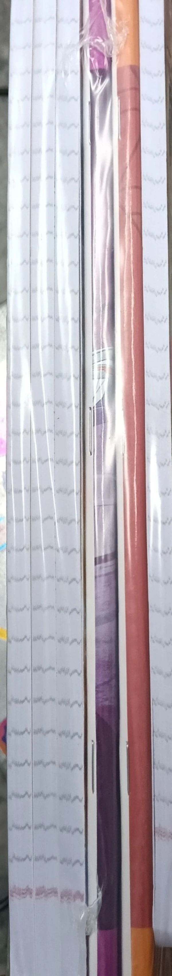 classmate longbook 172 page ( 6piece ) 