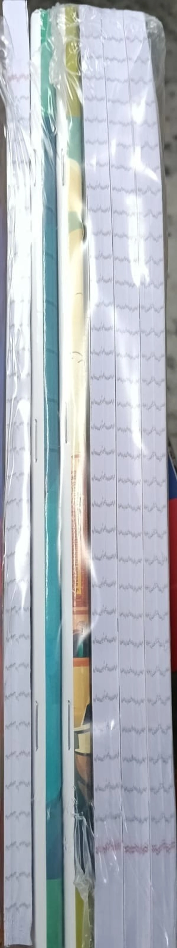 classmate longbook 196 page ( 6piece )