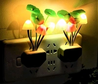 LED flower Light With Sensor Working Light 