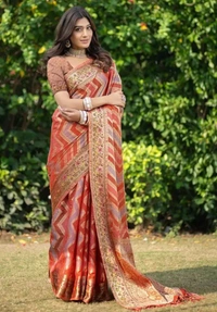 Neha Collection Women Soft Organza Saree With Meena Work Jacquard Border Pure Jari Work - Free Size, Paarl