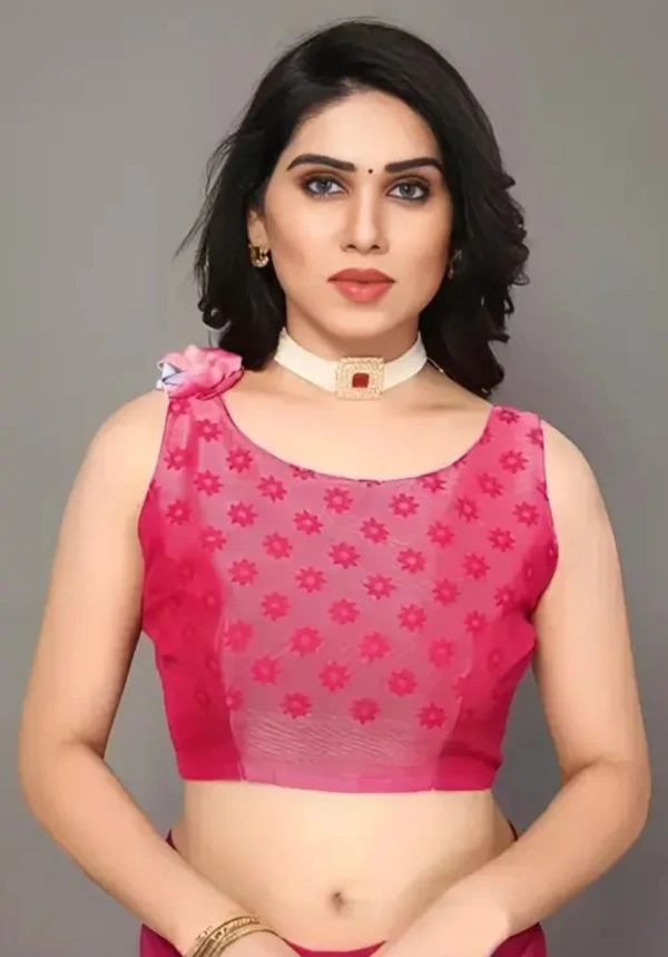 Neha Collection Women Fancy Chiffon Brasso Saree With Blouse - pink, Free Size