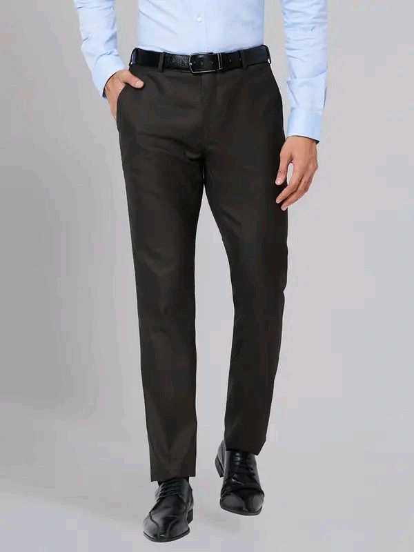Dolly Fashion  Men Brown Slim Fit Solid Polyester Blend Trouser - 28