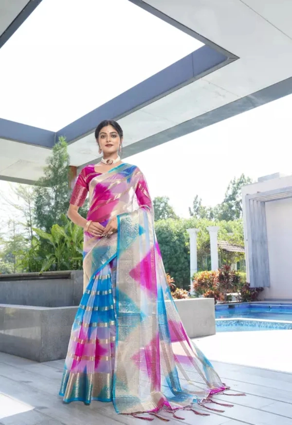 Neha Collection Women Organza Multy Colour Saree - Free Size