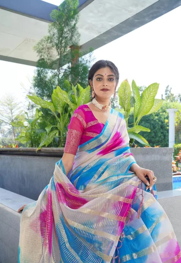 Neha Collection Women Organza Multy Colour Saree - Free Size