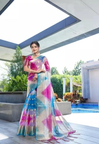 Neha Collection Women Organza Multy Colour Saree - Free Size