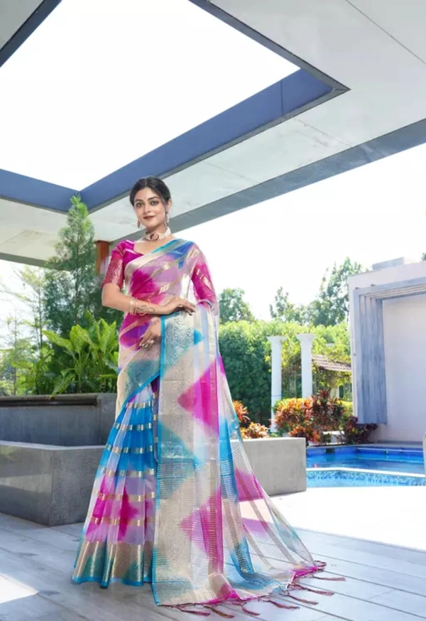 Neha Collection Women Organza Multy Colour Saree - Free Size