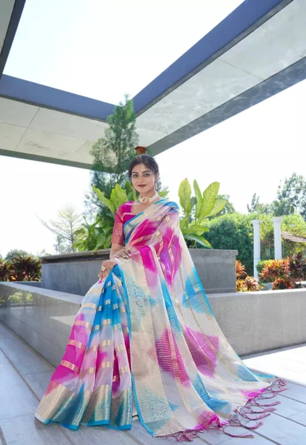 Neha Collection Women Organza Multy Colour Saree - Free Size