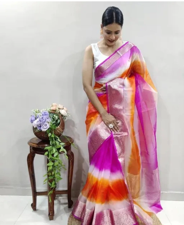Neha Collection Women Organza Multicolour Saree - Free Size