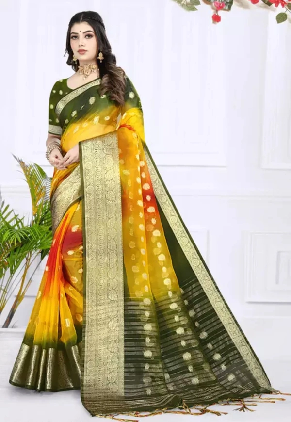 Neha Collection Women Organza Multicolour Saree - Free Size