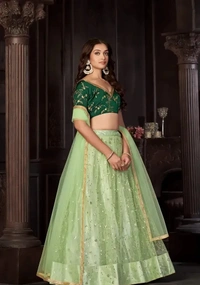 Neha Collection Stylish Green Net Lehenga Choli Set For Women - Green, Free Size