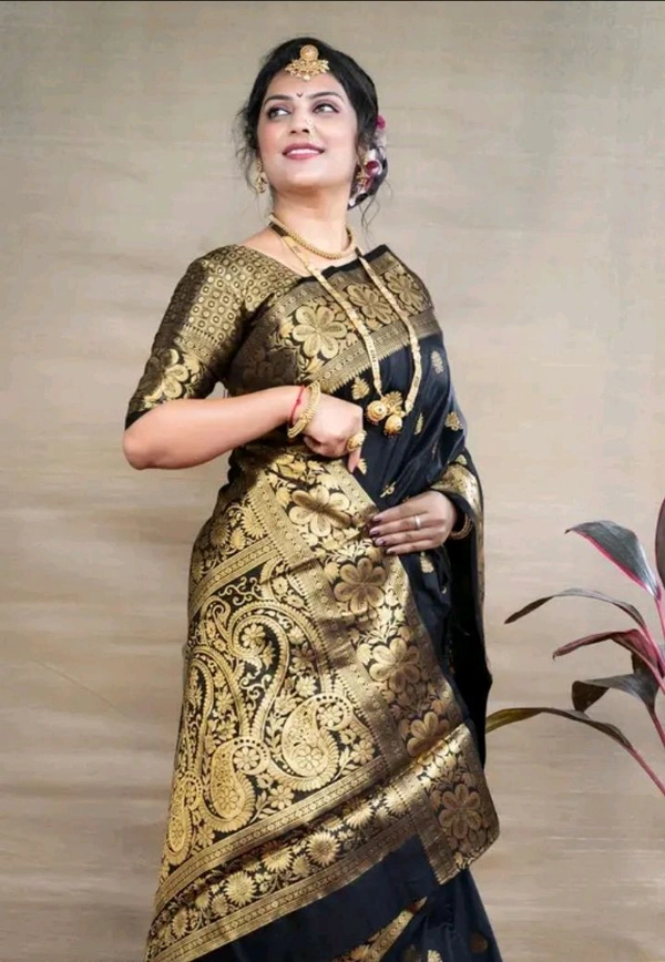 Kanjeevaram Women Kanjivaram Silk Saree With Blouse - Black