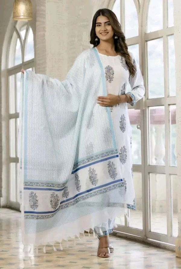 Neha Collection Beautiful 3-piece salwar kameez with dupatta - S