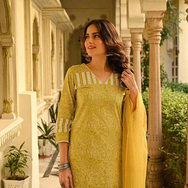 Neha Collection Beautiful 3-Piece Salwar Kameez With Dupatta - XL