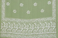  Ruhi Pista Chiffon Printed Saree With Printed Blouse Piece 