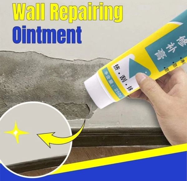 WALL REPAIR PASTE quick Result 500gm