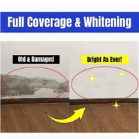 WALL REPAIR PASTE quick Result 500gm