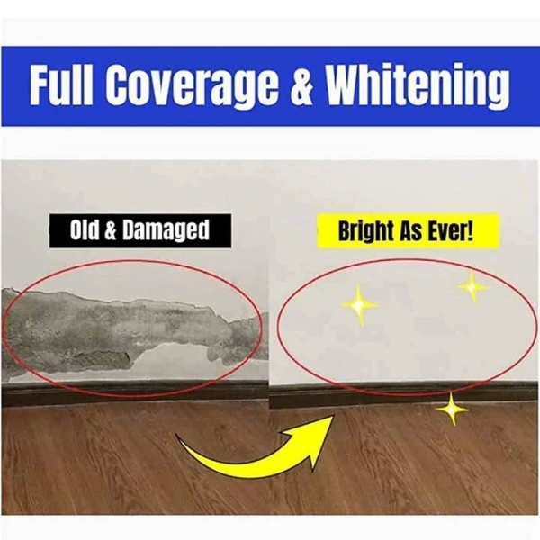 WALL REPAIR PASTE quick Result 500gm