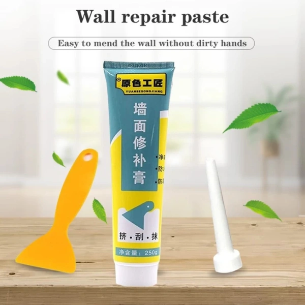 WALL REPAIR PASTE quick Result 500gm