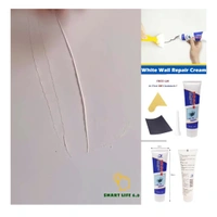 WALL REPAIR PASTE quick Result 500gm