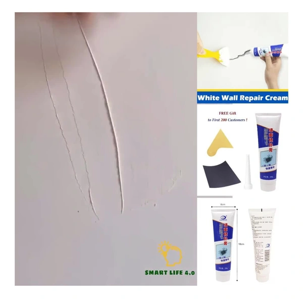 WALL REPAIR PASTE quick Result 500gm
