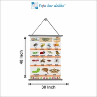 saja kar dekho INSECTS (જંતુઓ) Wall Handing Poster For Kids | INSECTS With Picture High Quality Weather Resistant HD Wall Poster | 30 x 48 inch | - 30 x 48 inch