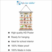 saja kar dekho INSECTS (જંતુઓ) Wall Handing Poster For Kids | INSECTS With Picture High Quality Weather Resistant HD Wall Poster | 30 x 48 inch | - 30 x 48 inch