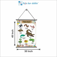 saja kar dekho ANIMALS REPTILES (પ્રાણીઓ સરીસુપ) Wall Handing Poster For Kids | ANIMALS REPTILES With Picture High Quality Weather Resistant HD Wall Poster | 30 x 48 inch | - 30 x 48 inch