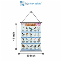 saja kar dekho  BIRDS (પક્ષીઓ) Wall Handing Poster For Kids | Famous Birds Names With Picture High Quality Weather Resistant HD Wall Poster | 30 x 48 inch | - 30 x 48 inch