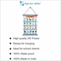 saja kar dekho  BIRDS (પક્ષીઓ) Wall Handing Poster For Kids | Famous Birds Names With Picture High Quality Weather Resistant HD Wall Poster | 30 x 48 inch | - 30 x 48 inch