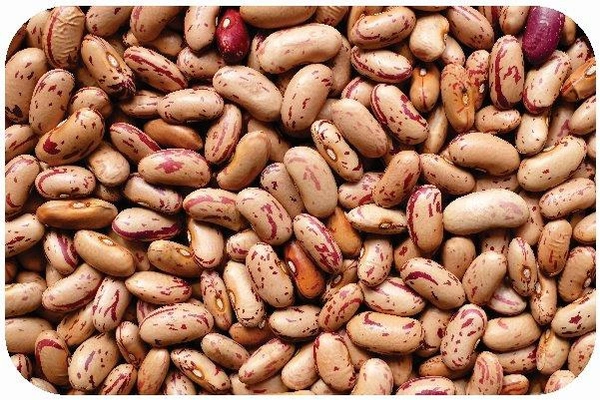 राजमा / Rajma Daal  - 1kg
