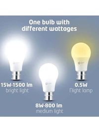 Orint Electric 15 W Round B22 Inverter Bulb (With ) - White