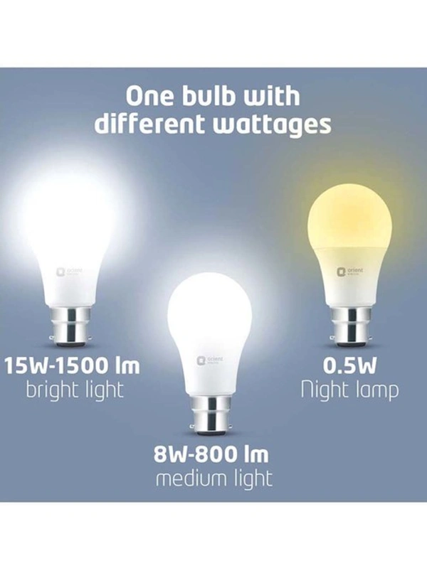 Orint Electric 15 W Round B22 Inverter Bulb (With ) - White