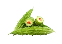 Small  Bitter Gourd (Loose), 500g (ಹಾಗಲಕಾಯಿ) - 500g
